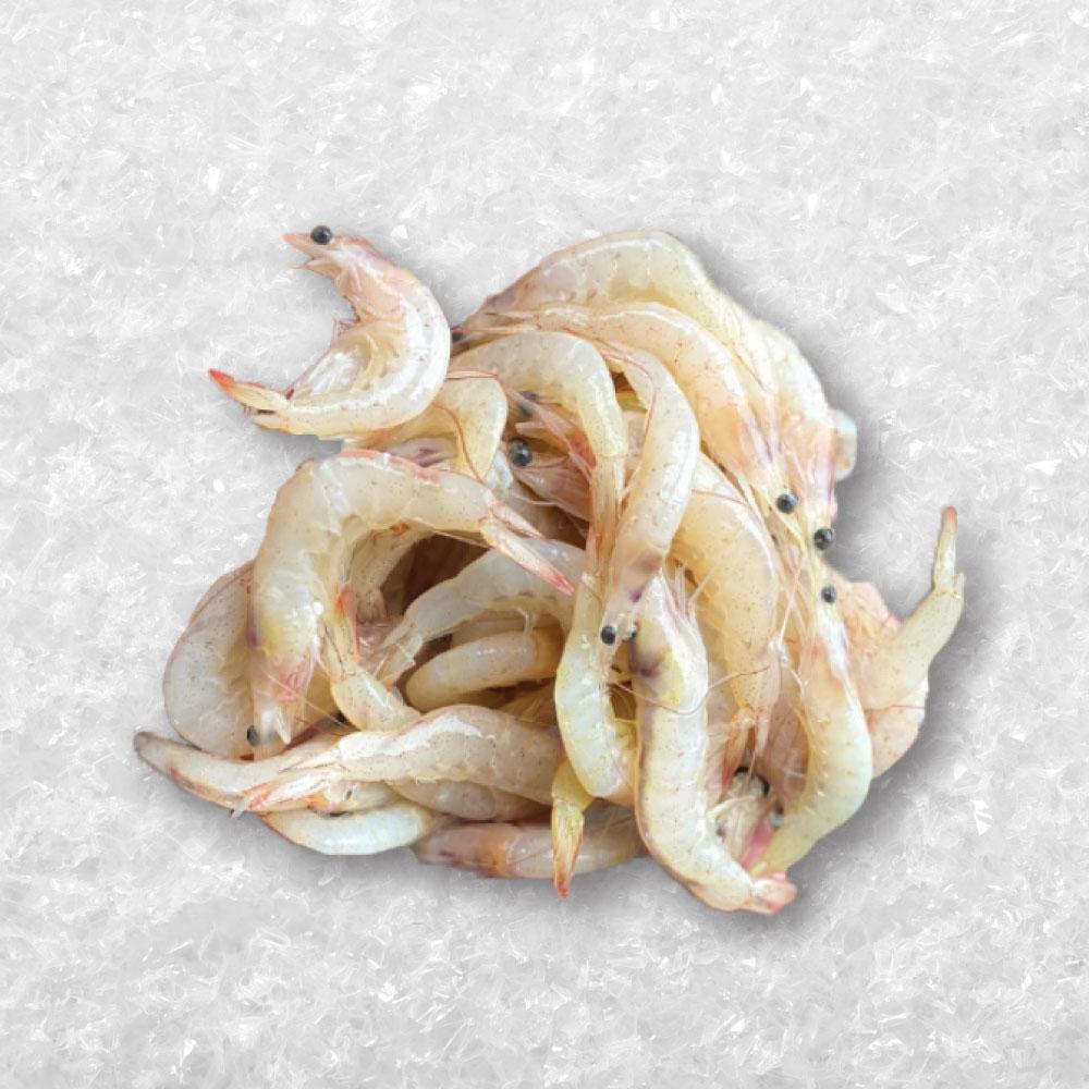 White Prawn 白虾/肉虾