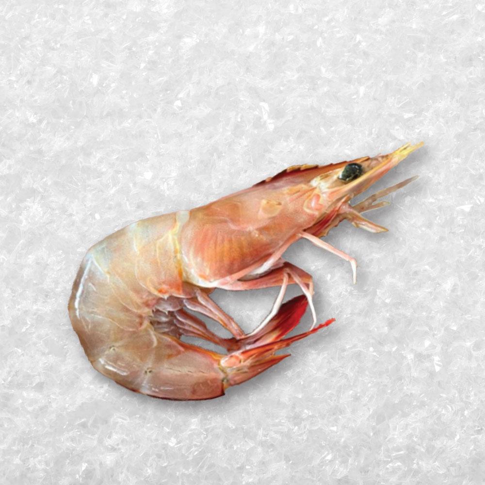 Ming Xia Prawn 明虾